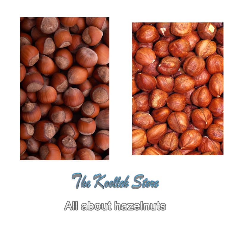 All about hazelnuts,hazelnuts,hazelnut tree,iran fruit ,iran hazelnut