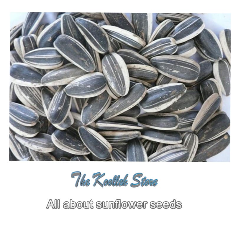 All about sunflower seeds,All about,sunflower seeds,Allergy to seeds,Heart disease,flower 