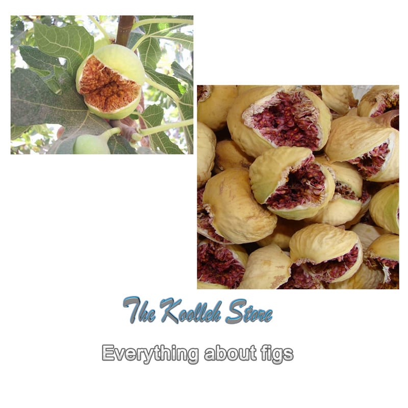 Everything about figs,figs,Common fig,Ficus carica,dried fruit,fruit