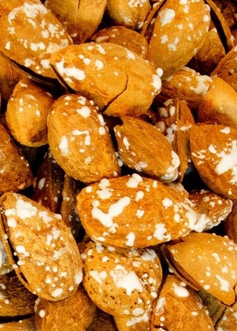 Persian salted Almond With Shell,Almond With Shell,salted Almond Shell,Persian salted Almond,iranian almond,iranian salted almond,iranian kernel of almond,persian kernel almond,iranian almond price,buy salted akmond from iran,iran almond,roasted almond
