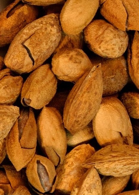 Persian raw Almond With Shell,Almond With Shell,raw Almond Shell,Persian salted Almond,iranian almond,iranian raw almond,iranian kernel of almond,persian kernel almond,iranian almond price,buy raw almond from iran,iran almond,raw almond
