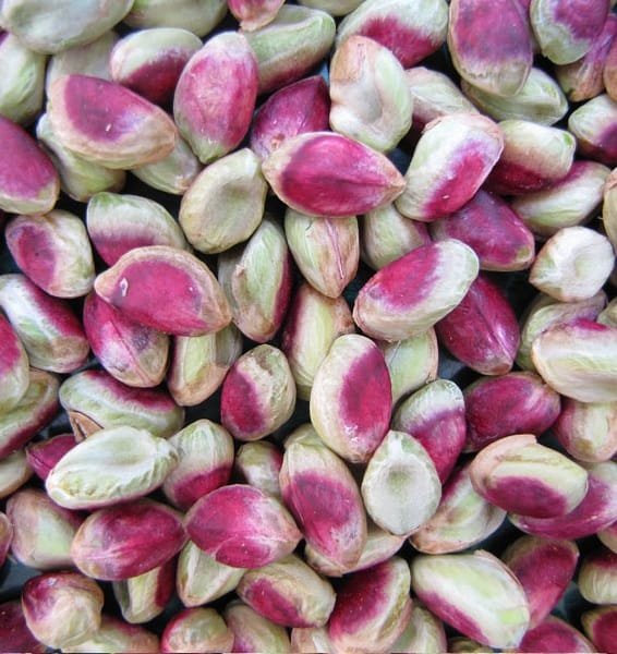 persian pistachip,super long pistachio,,akbari pistachio,iranian pistachio,iranian super long pistachio,iranian long pistachio,persian pistachios shop,pistachio,buy pistachio,price pistachio,pistachio without shell,pistachios whitout shell,pistachio without kernel