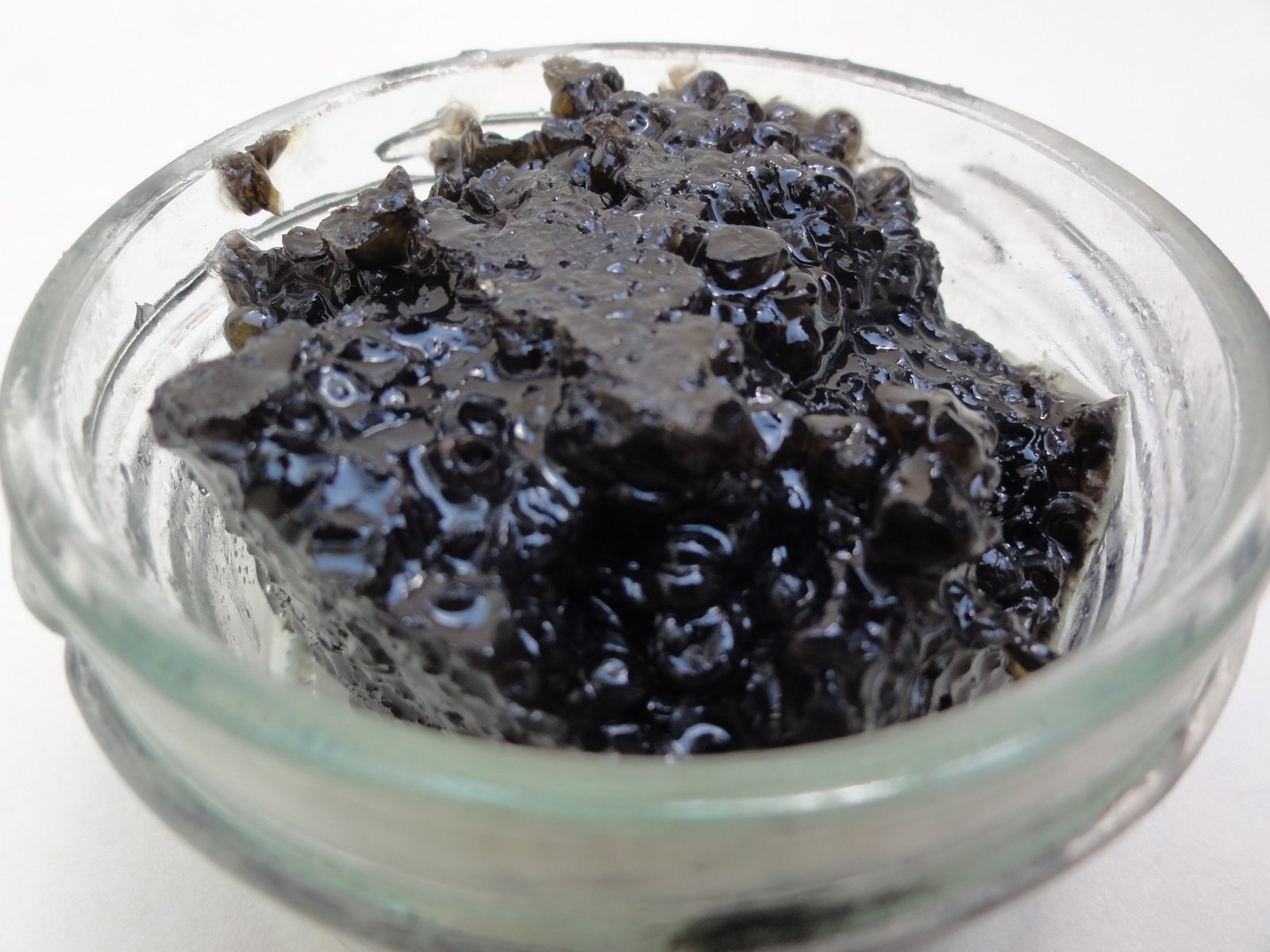 Persian Pressed Caviar,iranian Pressed Caviar,Persian Pressed Caviar price,Persian Pressed Caviar shop,Persian Pressed Caviar store,buy Persian Pressed Caviar,Persian Pressed Caviar from iran,Pressed Caviar,Pressed Caviar price