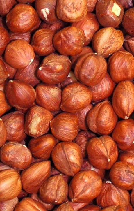 persian hazelnut,haelnut,hazelnut shop,buy hazelnut,buy hazelnut from iran,iranian hazelnut,persian nuts shop,online shop of persian nuts,nuts eshop,shop nu of iran,salted hazelnut,hazelnut without shell,hazelnut unshell