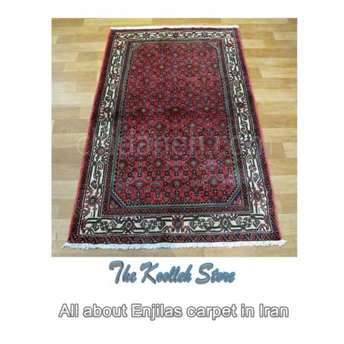 All about Enjilas carpet in Iran , Carpet weaving art, handmade carpet, Enjilas carpet, Iranian carpet weaving art, carpet, Koolleh magazine