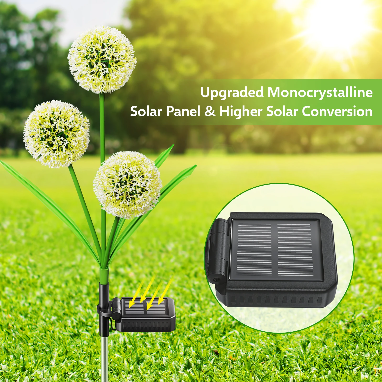 4 Pack Solar Dandelion Garden Lights – 72 LED Colorful Outdoor Decor for Yard & Pathway - Image 4