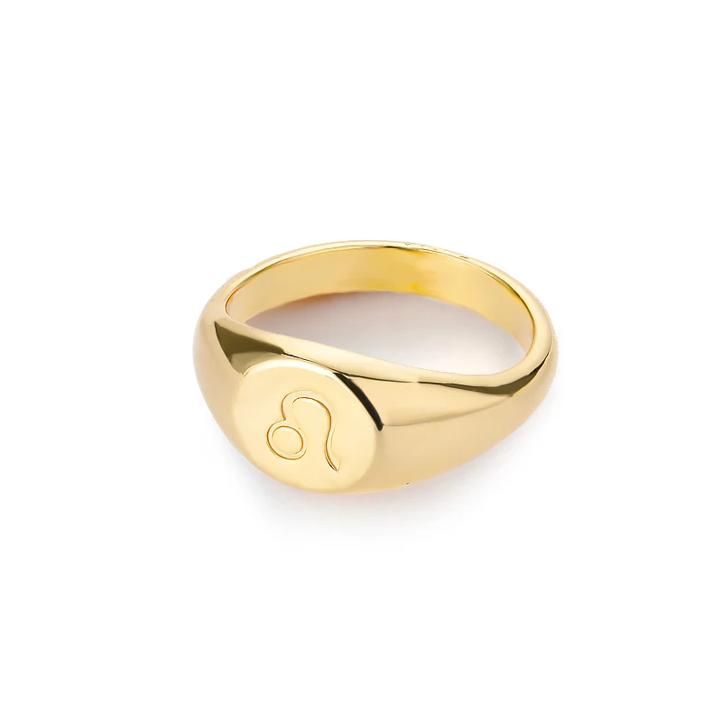 Zodiac Sign Rings for Men and Women – Scorpio, Pisces, Libra, Aquarius Finger Rings – Punk Birthday Jewelry – Anillos 2021 - Image 16