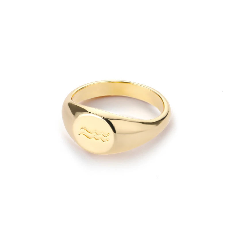 Zodiac Sign Rings for Men and Women – Scorpio, Pisces, Libra, Aquarius Finger Rings – Punk Birthday Jewelry – Anillos 2021 - Image 13