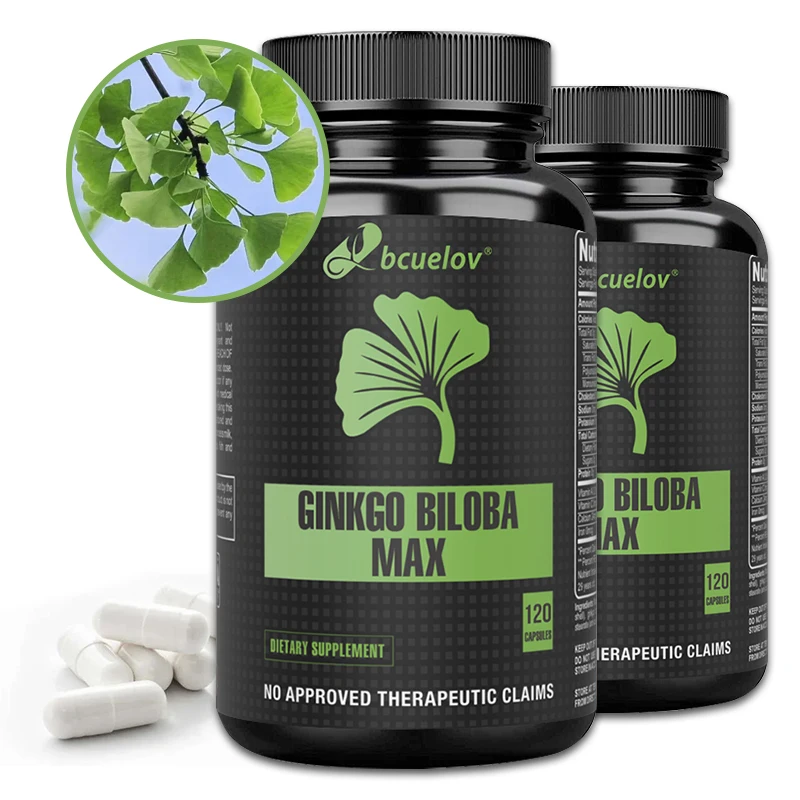Ginkgo Biloba 240 mg – Memory, Focus & Mental Clarity Booster, 120 Caps